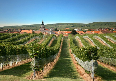 Modra - wine-growing town